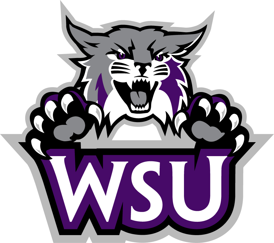 Weber State Wildcats 2012-Pres Secondary Logo diy DTF decal sticker